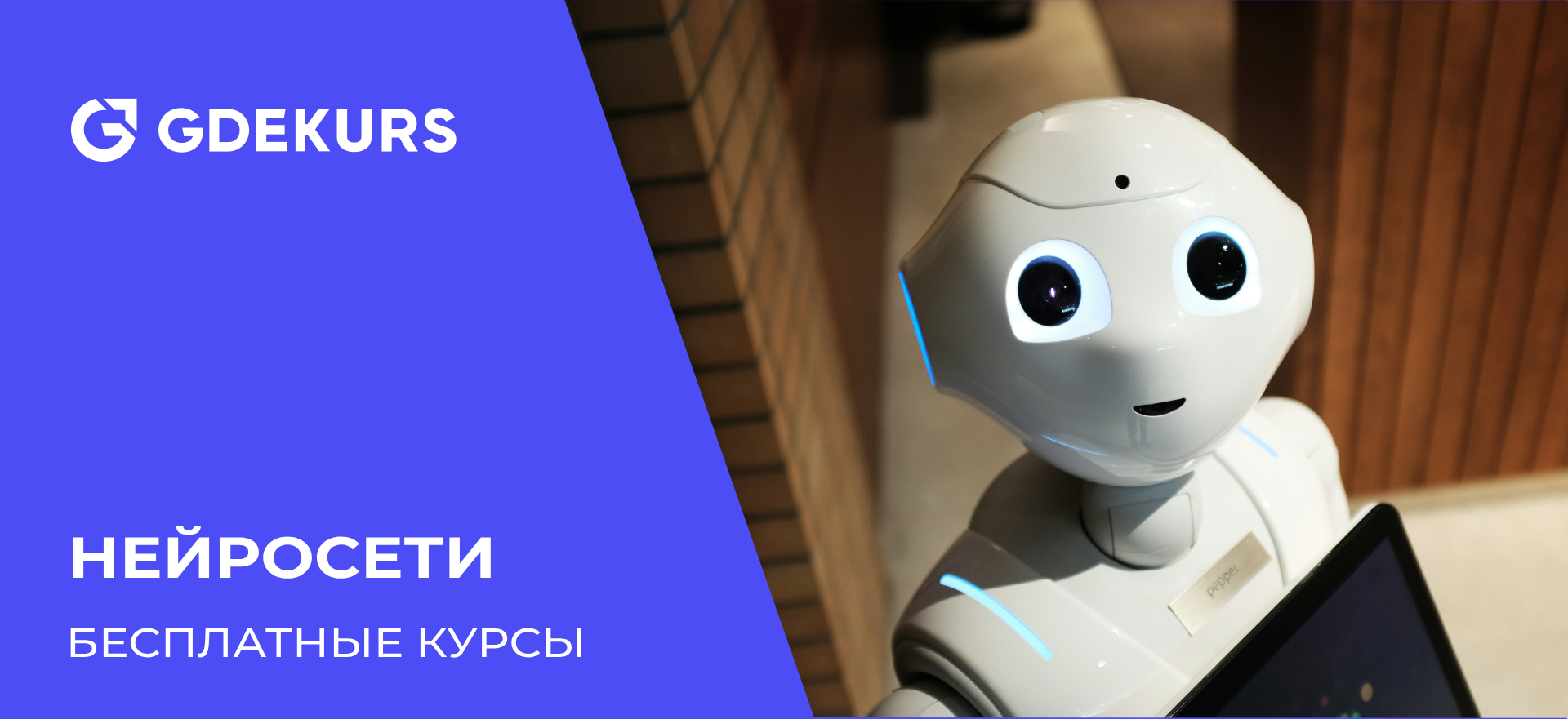 ТОП-15 бесплатных курсов по нейросетям с нуля: онлайн-обучение для начинающих