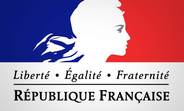 Электронное правительство по французски