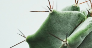 Оптимизация или выстрел в ногу? Как старые креативы сжигают бюджет