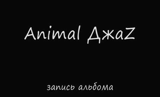 Animal ДжаZ — история успешного краудфандинга