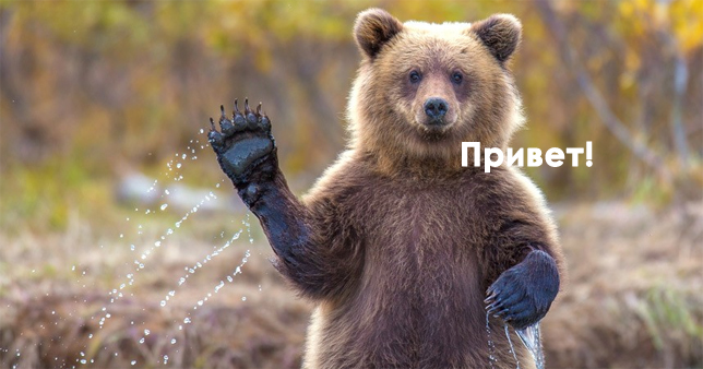 Дизайн без бюджета. Часть первая — визитная карточка