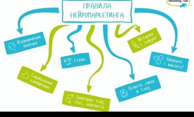 Правила нейромаркетинга