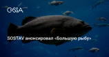 SOSTAV наградит создателей лучшей российской рекламы 2017 года