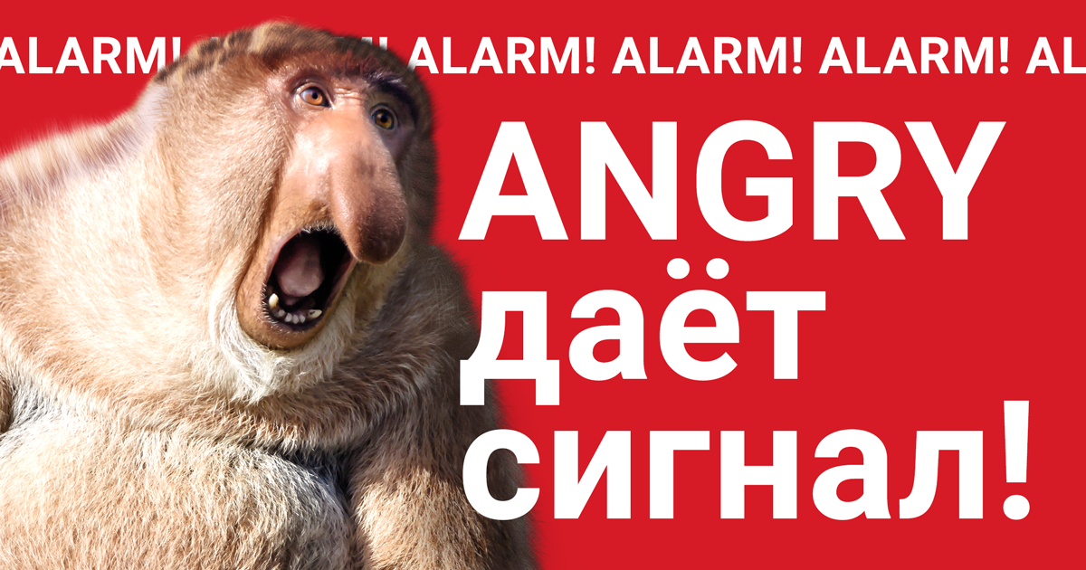 Alarm! Alarm! — Angry Analytics даёт сигнал!