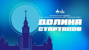 Долина Стартапов