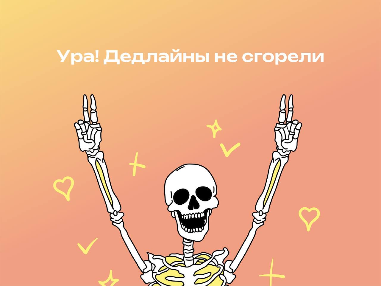 4.jpeg