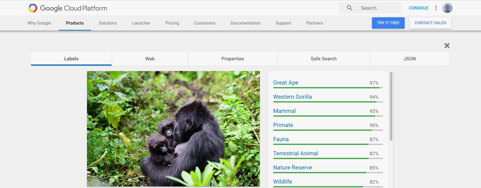 Google Cloud Vision распознаёт горилл