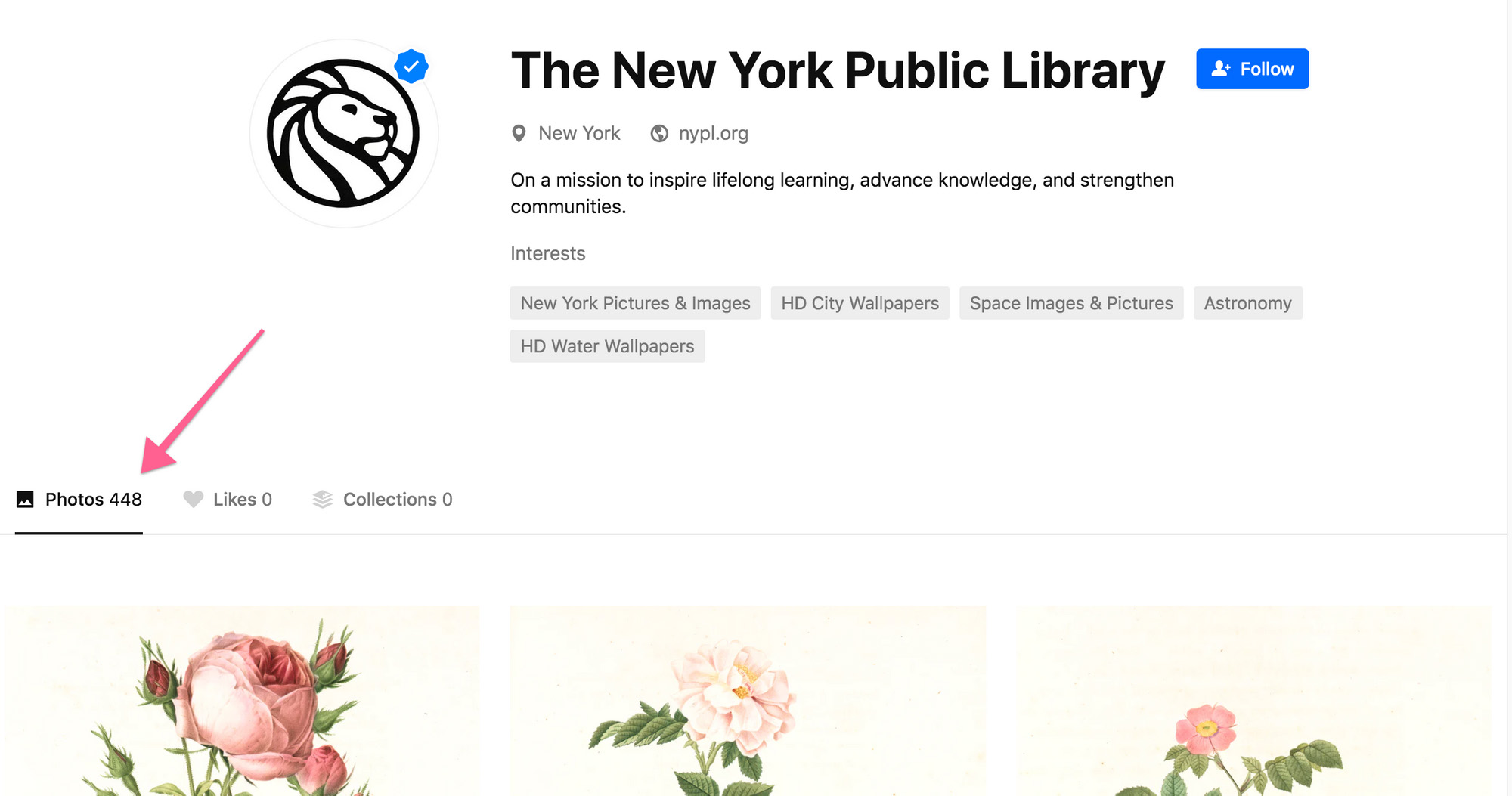 Как продвигать бренд с помощью Unsplash - кейс Нью-Йоркской публичной библиотеки