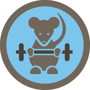 gymrat