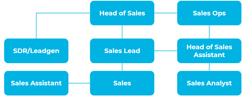 Типы структуры отделов продаж и распределение ролей: структура Sales Department Netpeak