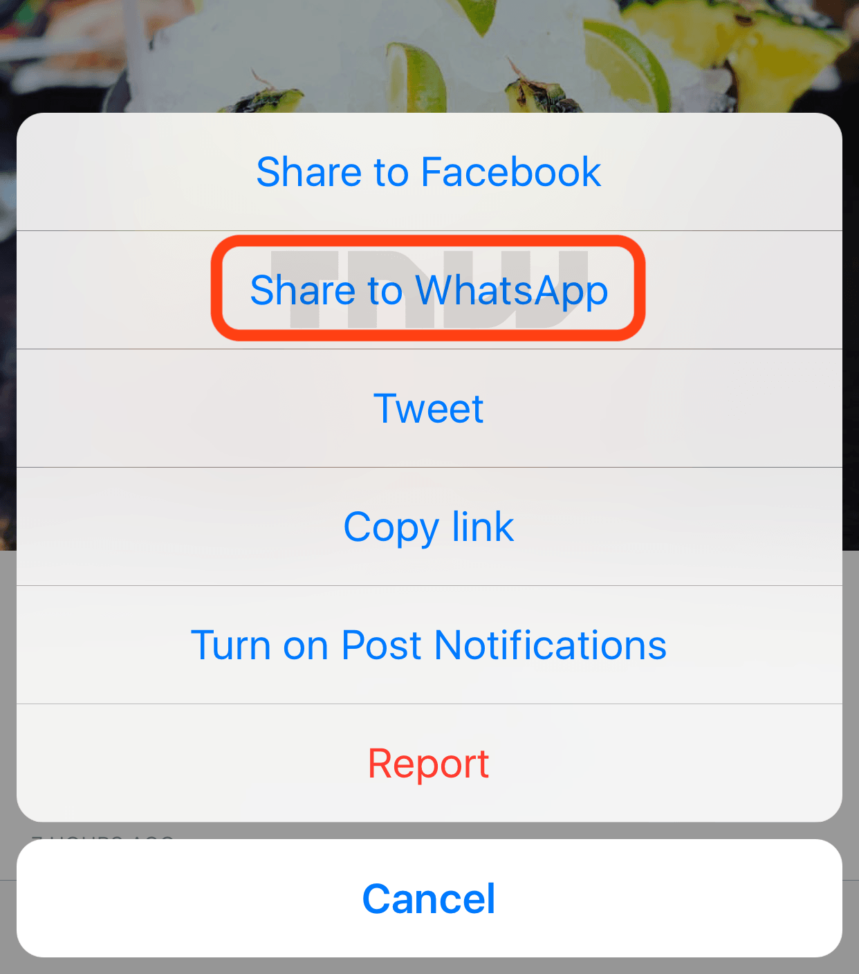 Instagram добавит функцию «Поделиться в WhatsApp»