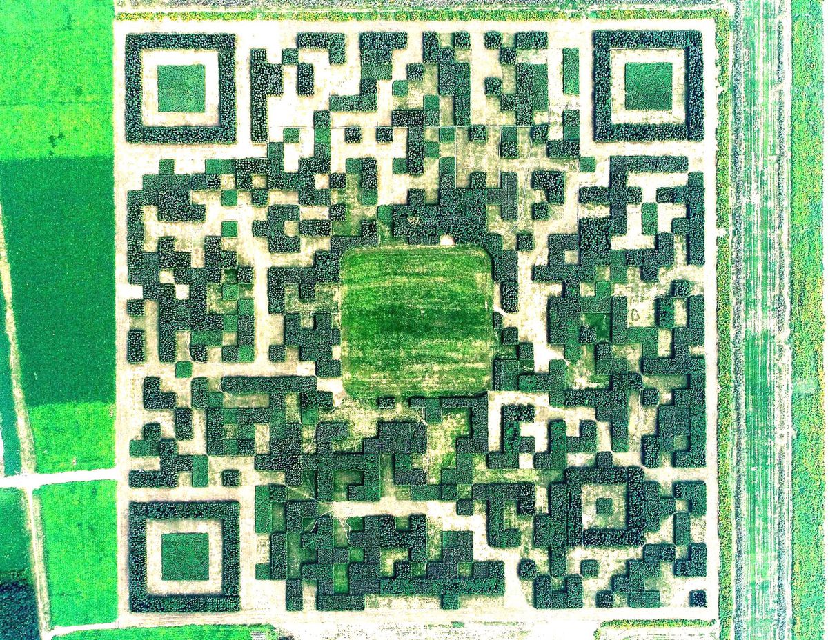 QR code