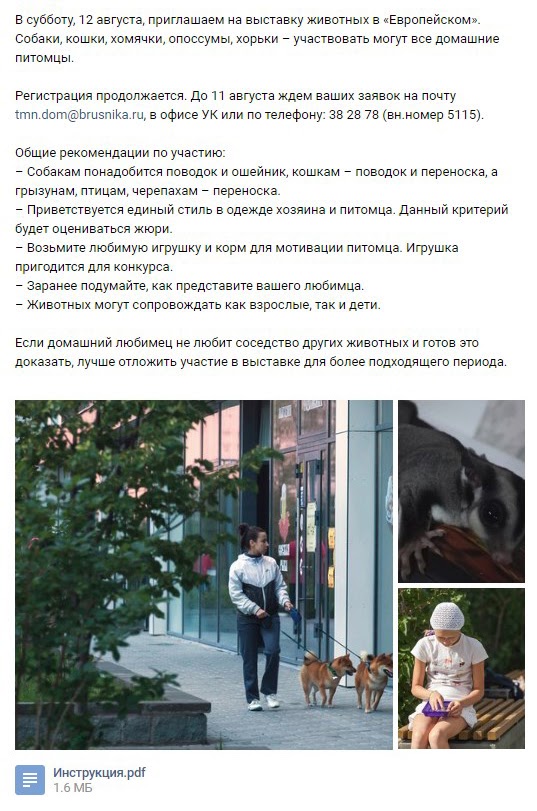 13 примеров лид-форм, чтобы собрать контакты для застройщика 13 примеров лид-форм, чтобы собрать контакты для застройщика