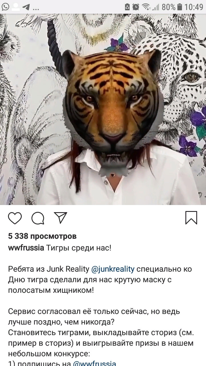 Маски от WWF России