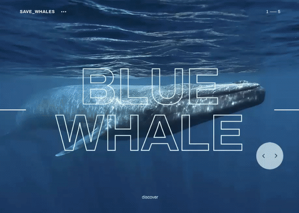 Реклама как искусство: проект Save Whales - Digital-агентство Red Collar