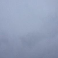 photo profile