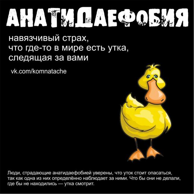 Наблюдающая утка. Афоризмы про утку. Цитаты про уток. Фразы про уток. Утки цитаты.